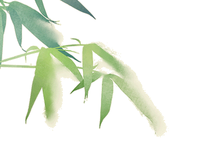 马拉松团体, SSOYi 马拉松团体, SSOYi